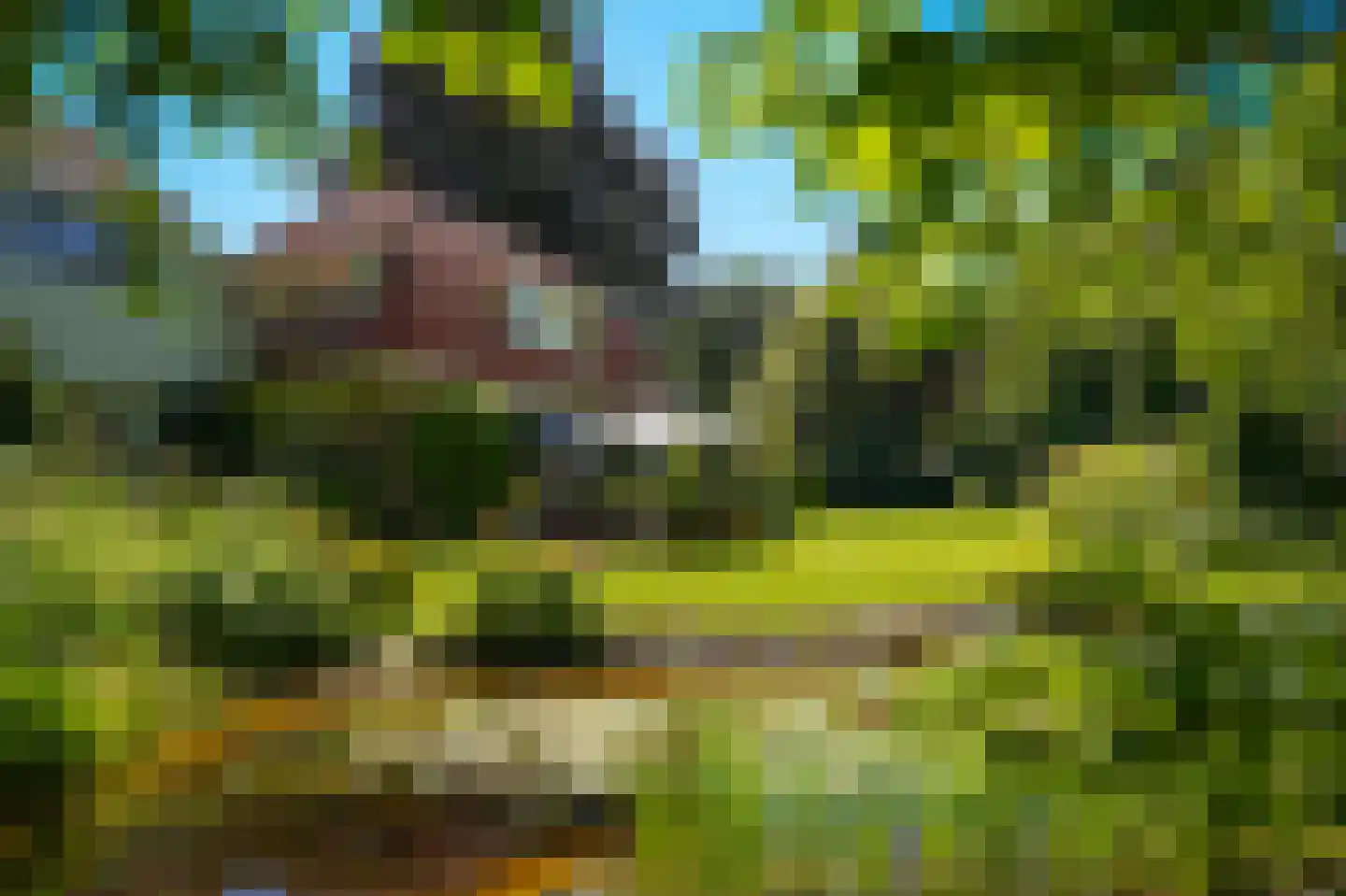 Rijssenseveld 7 Rijssen thumbnail 77