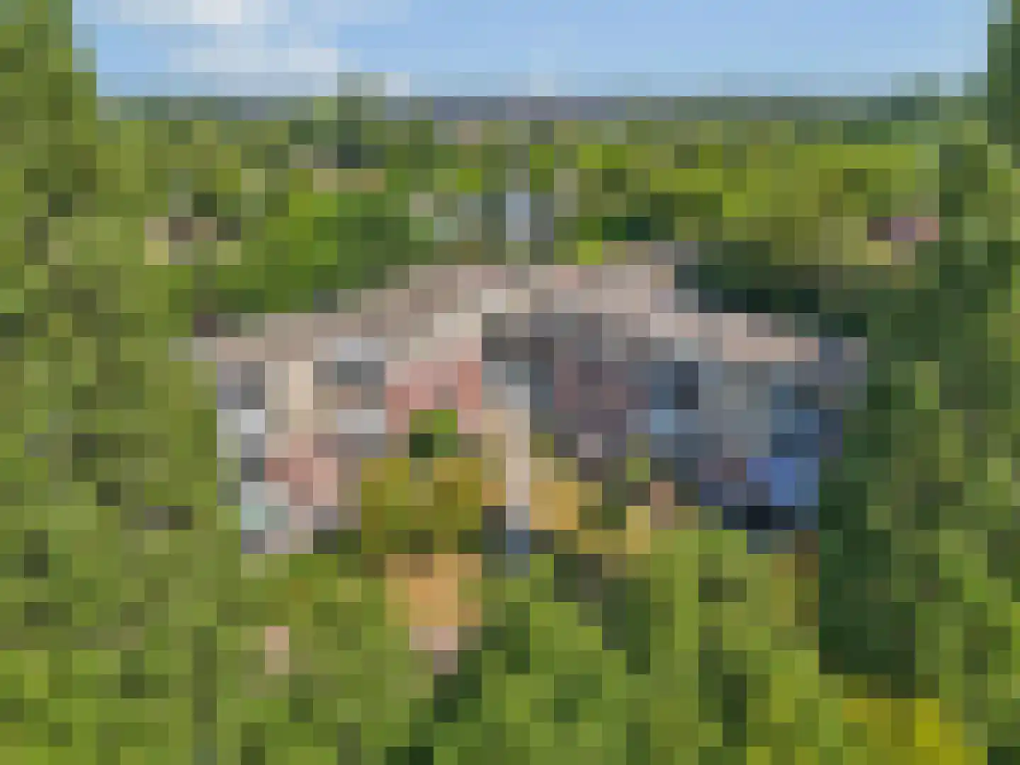 Rijstegoed 47 Nijkerk thumbnail 31