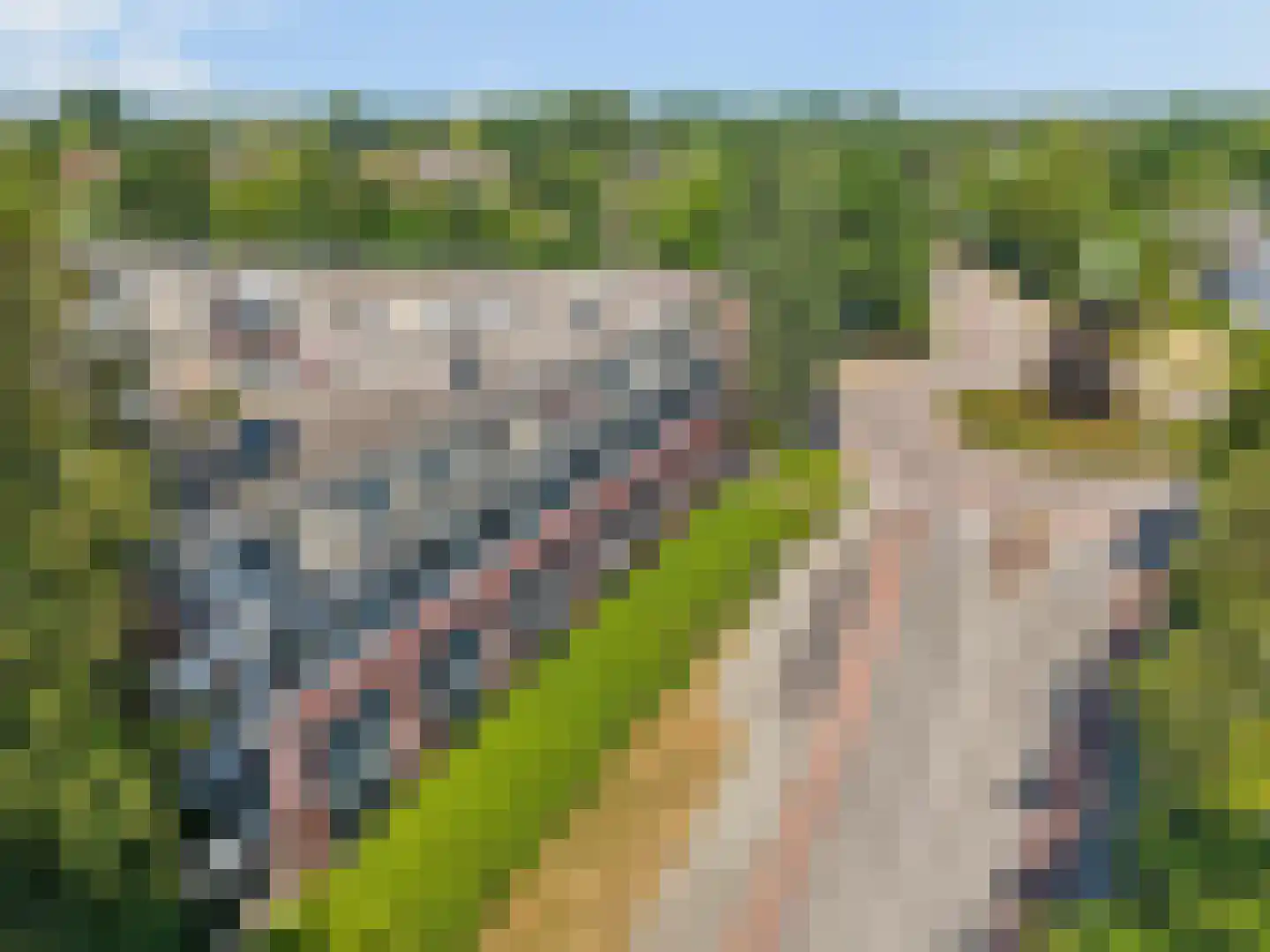 Rijstegoed 47 Nijkerk thumbnail 35
