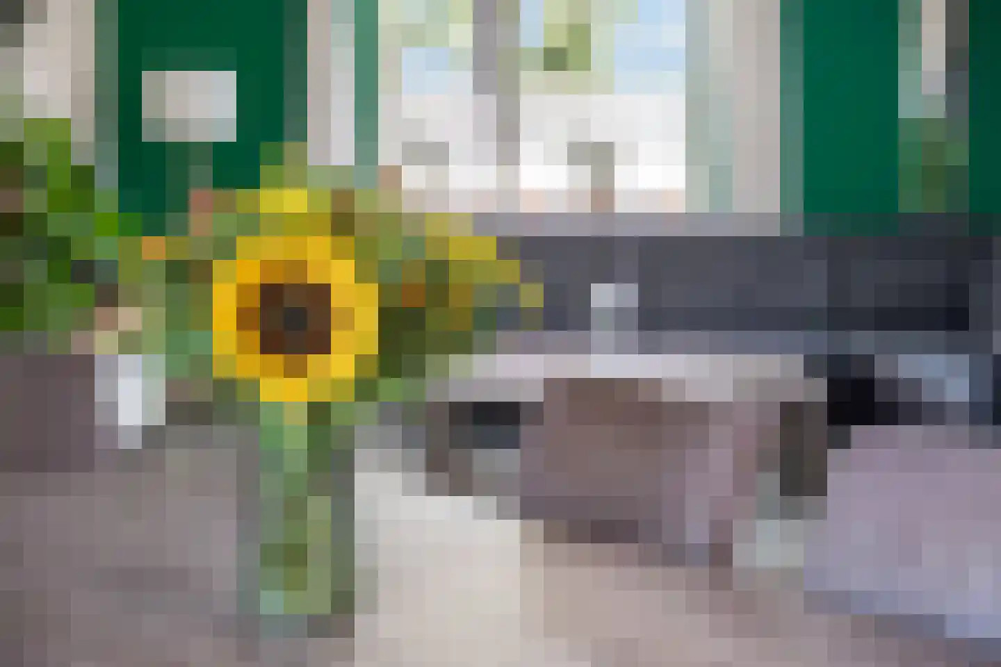 Rijstegoed 47 Nijkerk thumbnail 8