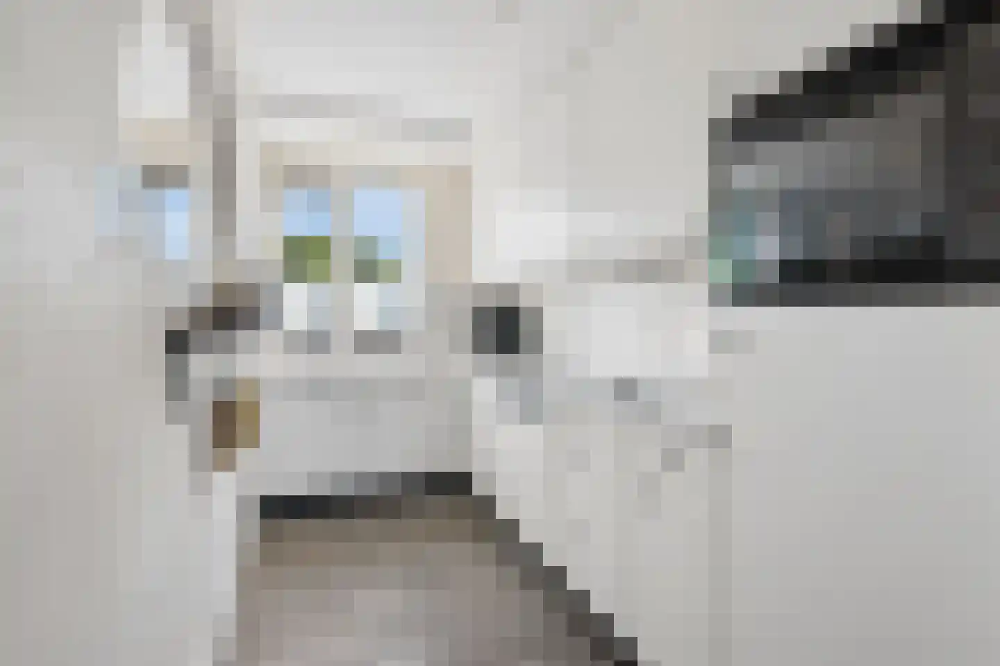 Rijstegoed 47 Nijkerk thumbnail 9