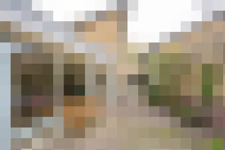 Rijstegoed 63 Nijkerk thumbnail 34