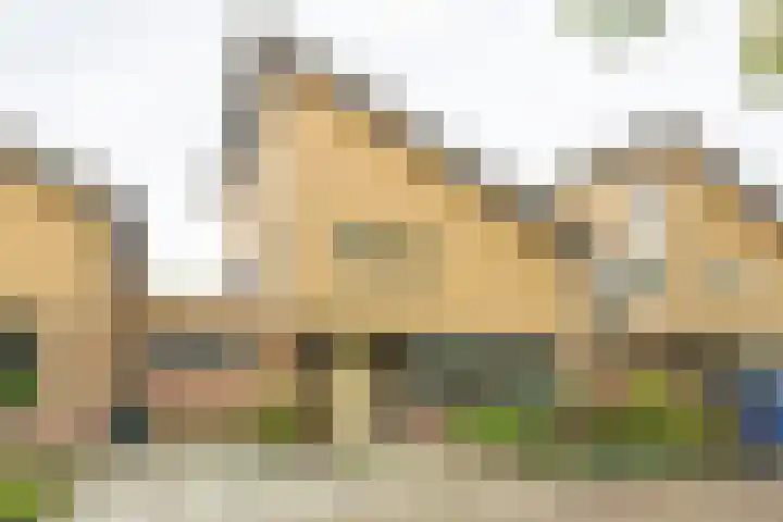 Rijstegoed 63 Nijkerk thumbnail 37