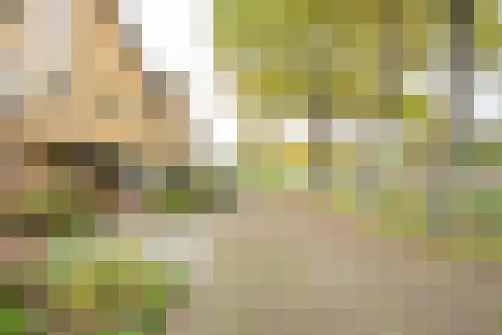 Rijstegoed 63 Nijkerk thumbnail 38