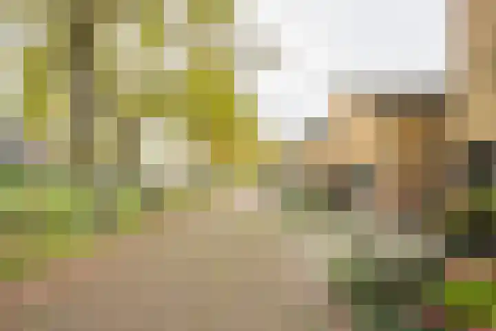 Rijstegoed 63 Nijkerk thumbnail 39