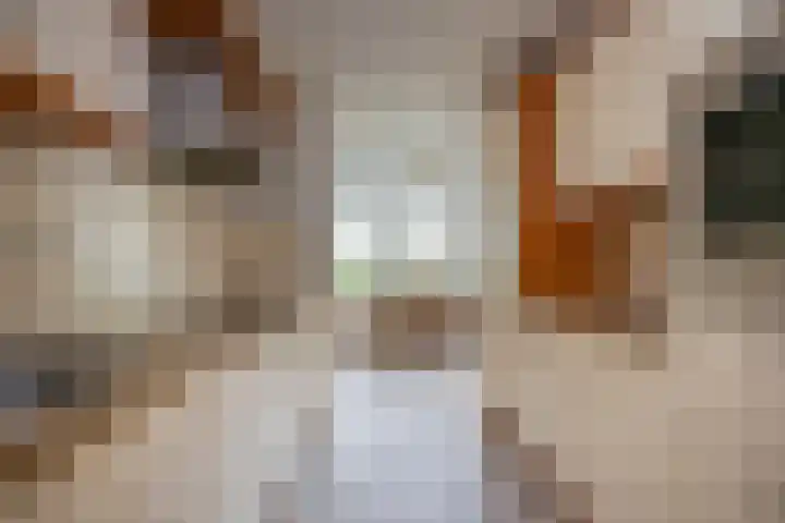 Rijstegoed 63 Nijkerk thumbnail 9