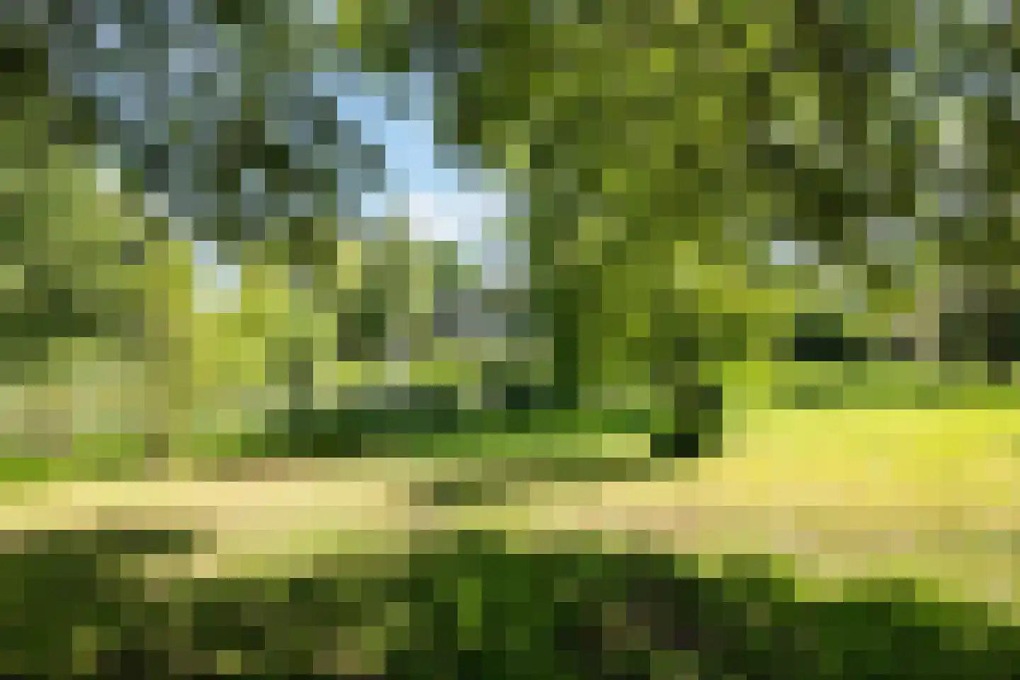 Rijstegoed 67 Nijkerk thumbnail 50