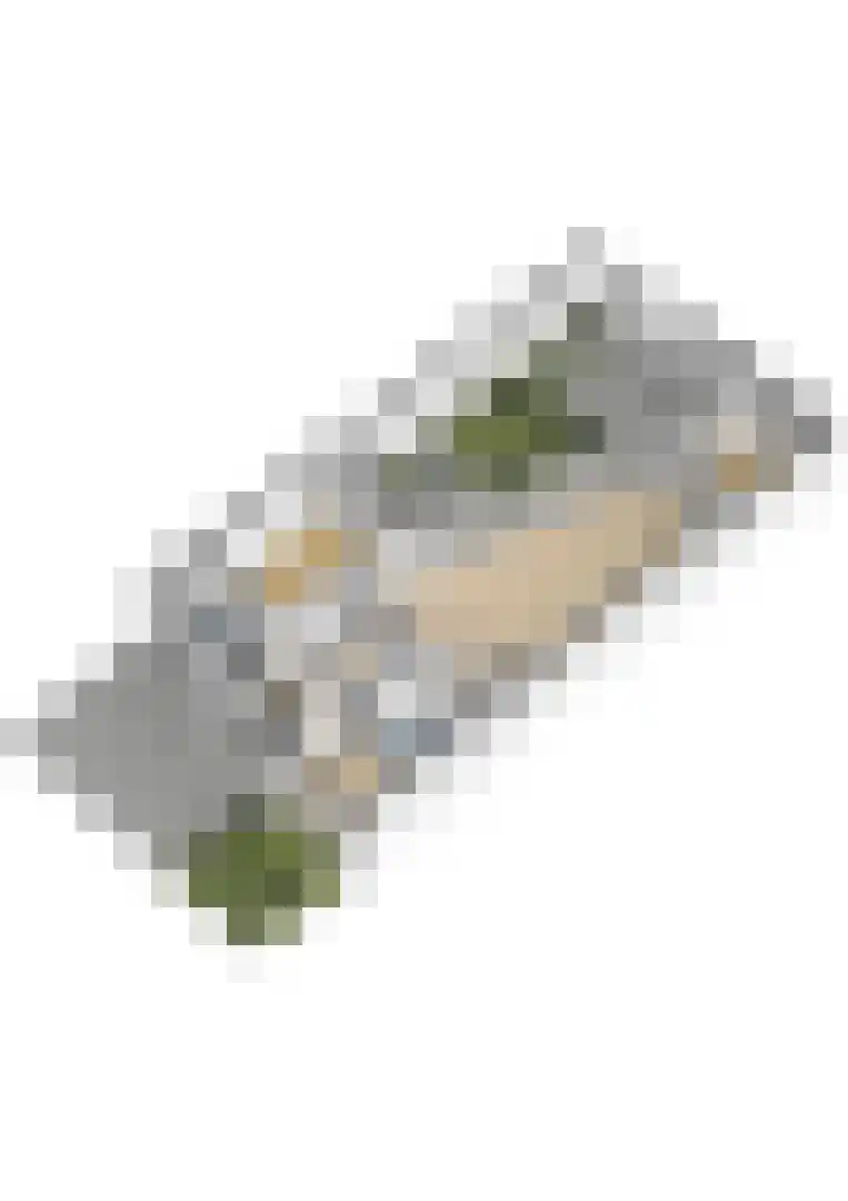 Rijstegoed 67 Nijkerk thumbnail 52