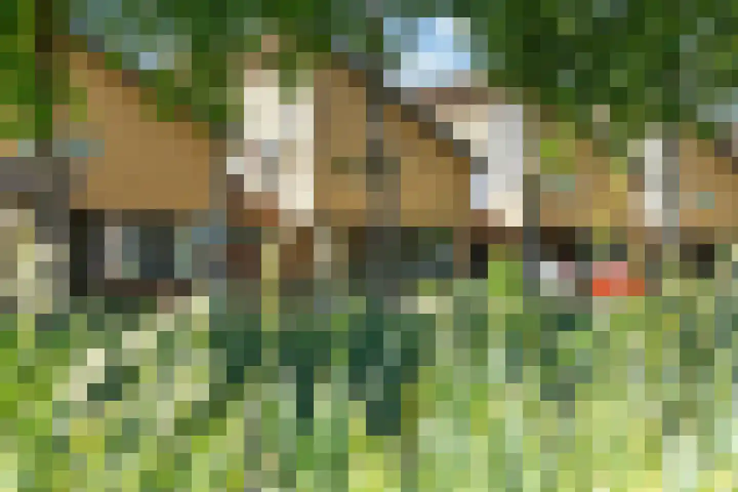 Rijstegoed 67 Nijkerk thumbnail 6