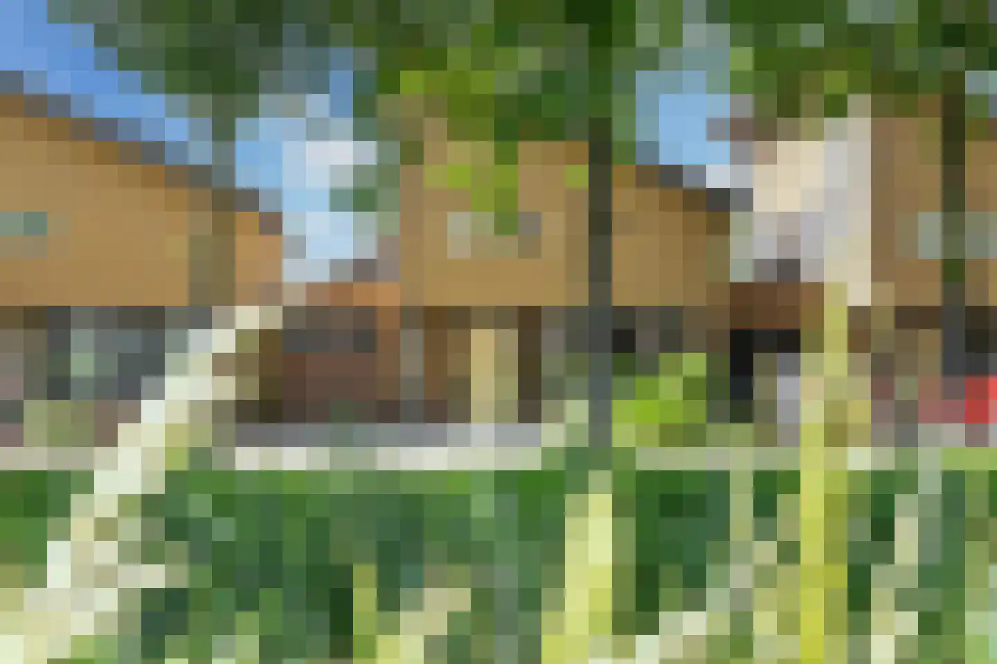 Rijstegoed 67 Nijkerk thumbnail 7