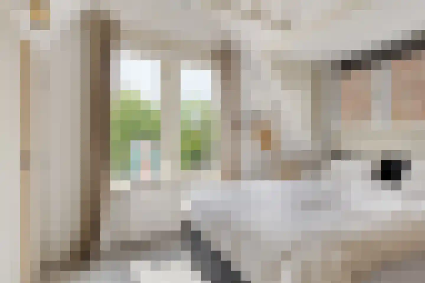 Rijsterborgherweg 14 Deventer thumbnail 19