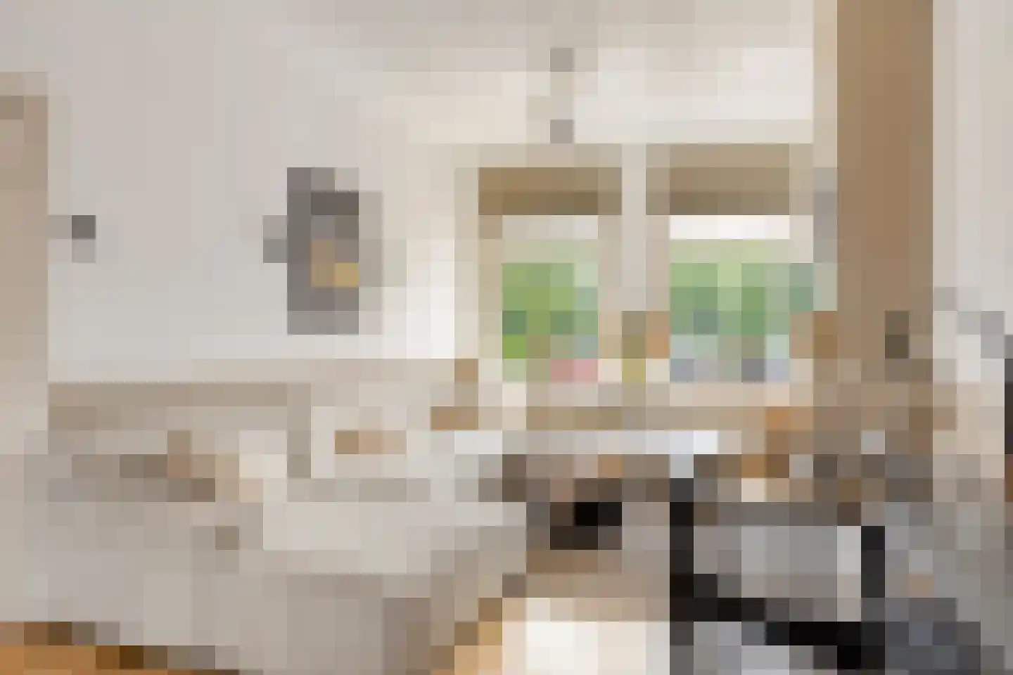 Rijsterborgherweg 14 Deventer thumbnail 4