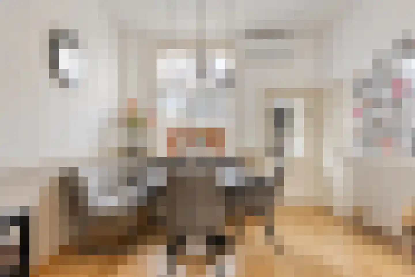 Rijsterborgherweg 14 Deventer thumbnail 7