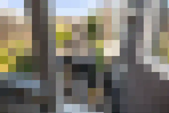 Rijsterborgherweg 19 Deventer thumbnail 25
