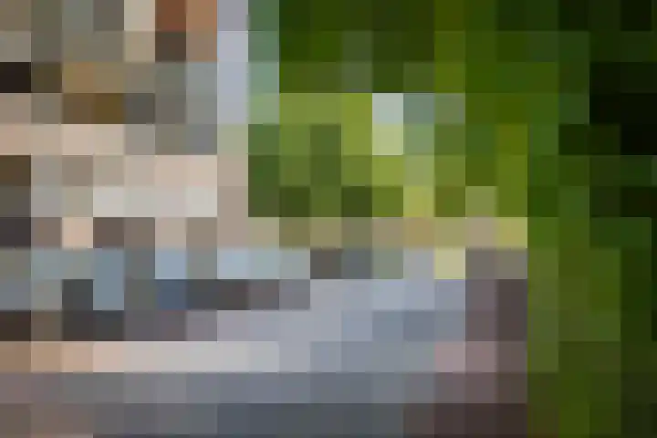 Rijsterborgherweg 19 Deventer thumbnail 35