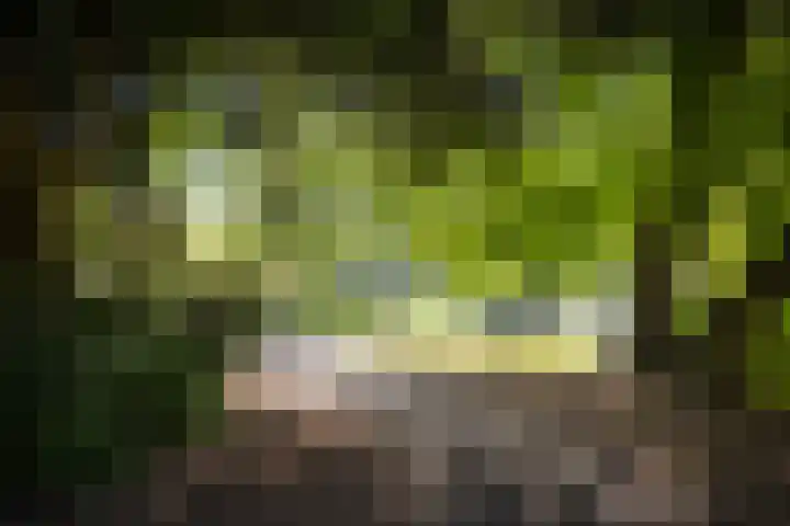 Rijsterborgherweg 19 Deventer thumbnail 40