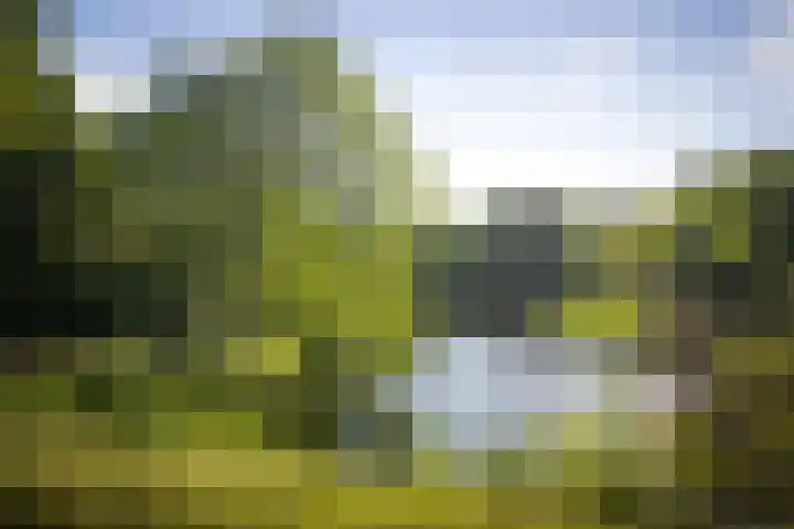Rijsterborgherweg 19 Deventer thumbnail 41