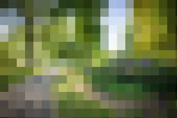 Rijsterborgherweg 19 Deventer thumbnail 42