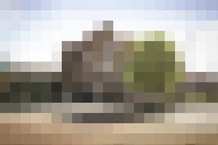 Rijsterborgherweg 19 Deventer thumbnail 44