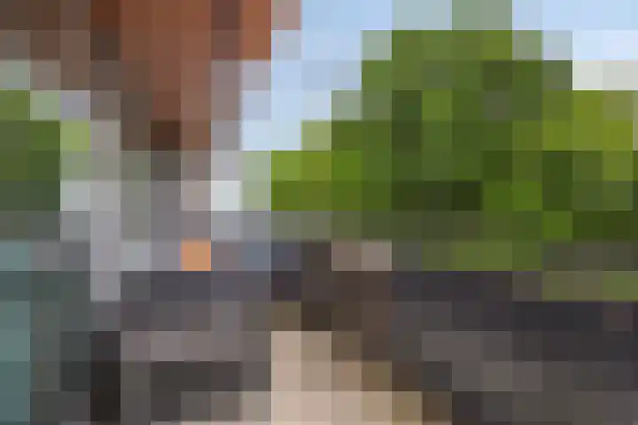 Rijsterborgherweg 20 F 3 Deventer thumbnail 17