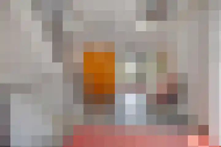 Rijsterborgherweg 20 F 3 Deventer thumbnail 19