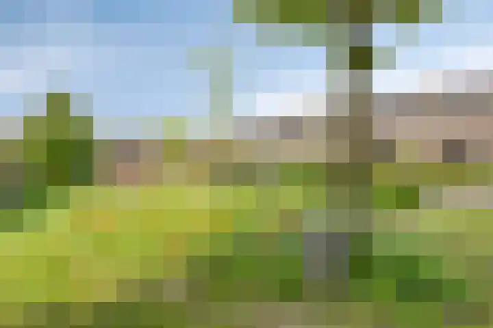 Rijsterborgherweg 20 F 3 Deventer thumbnail 24