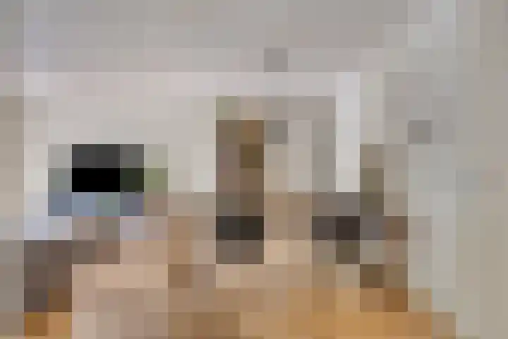 Rijsterborgherweg 20 F 3 Deventer thumbnail 7