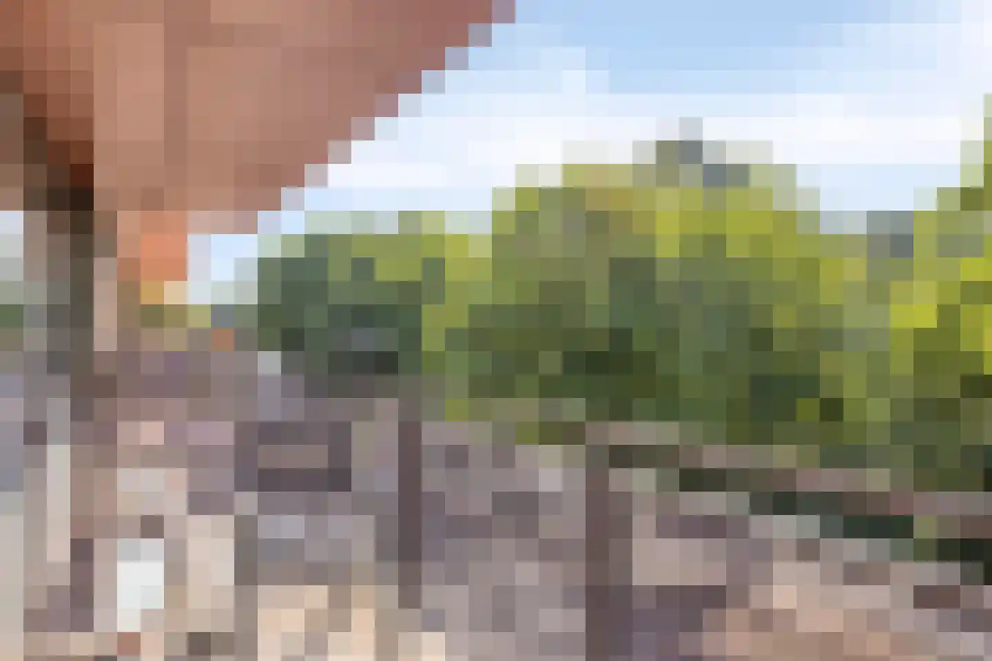 Rijsterborgherweg 20 F 30 Deventer thumbnail 23