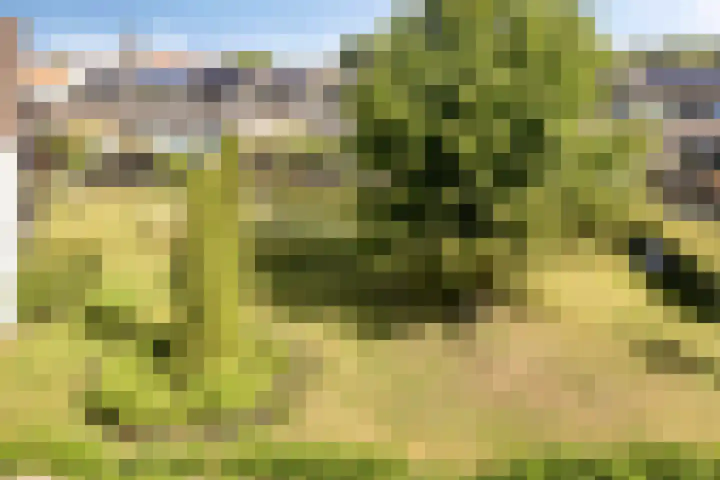 Rijsterborgherweg 20 F 30 Deventer thumbnail 32