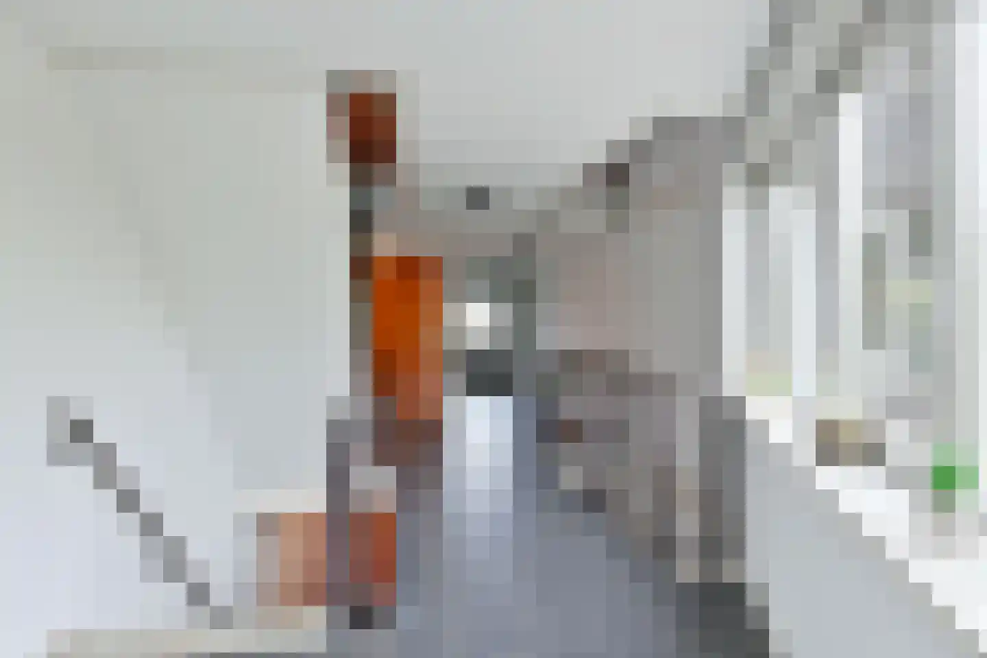Rijsterborgherweg 20 F 30 Deventer thumbnail 8
