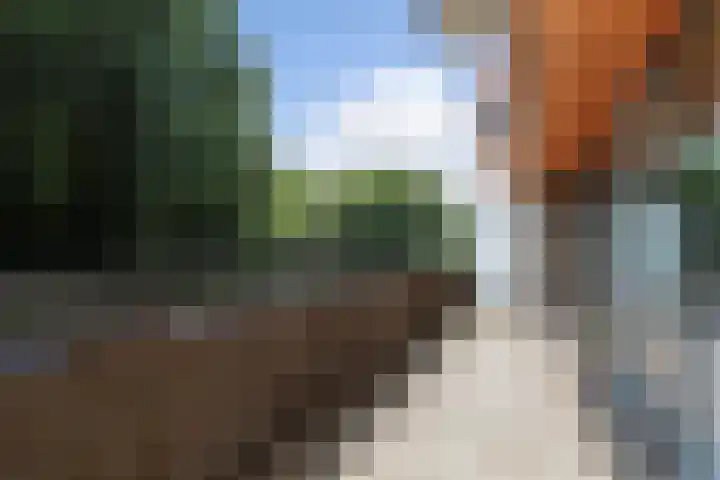 Rijsterborgherweg 20 F 6 Deventer thumbnail 17