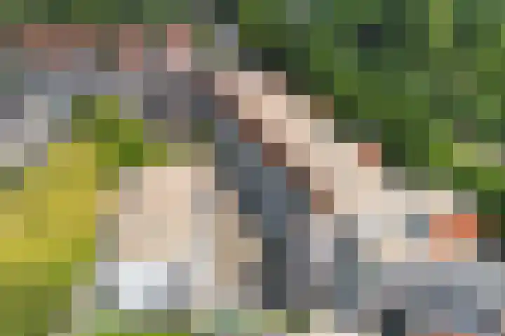 Rijsterborgherweg 20 F 6 Deventer thumbnail 32
