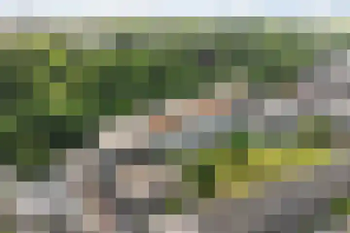 Rijsterborgherweg 20 F 6 Deventer thumbnail 33