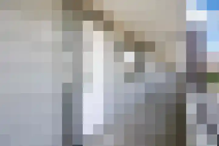 Rijsterborgherweg 20 F 6 Deventer thumbnail 6