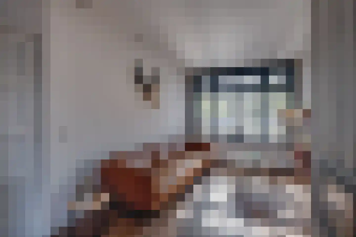 Rijsterborgherweg 24 Deventer thumbnail 10