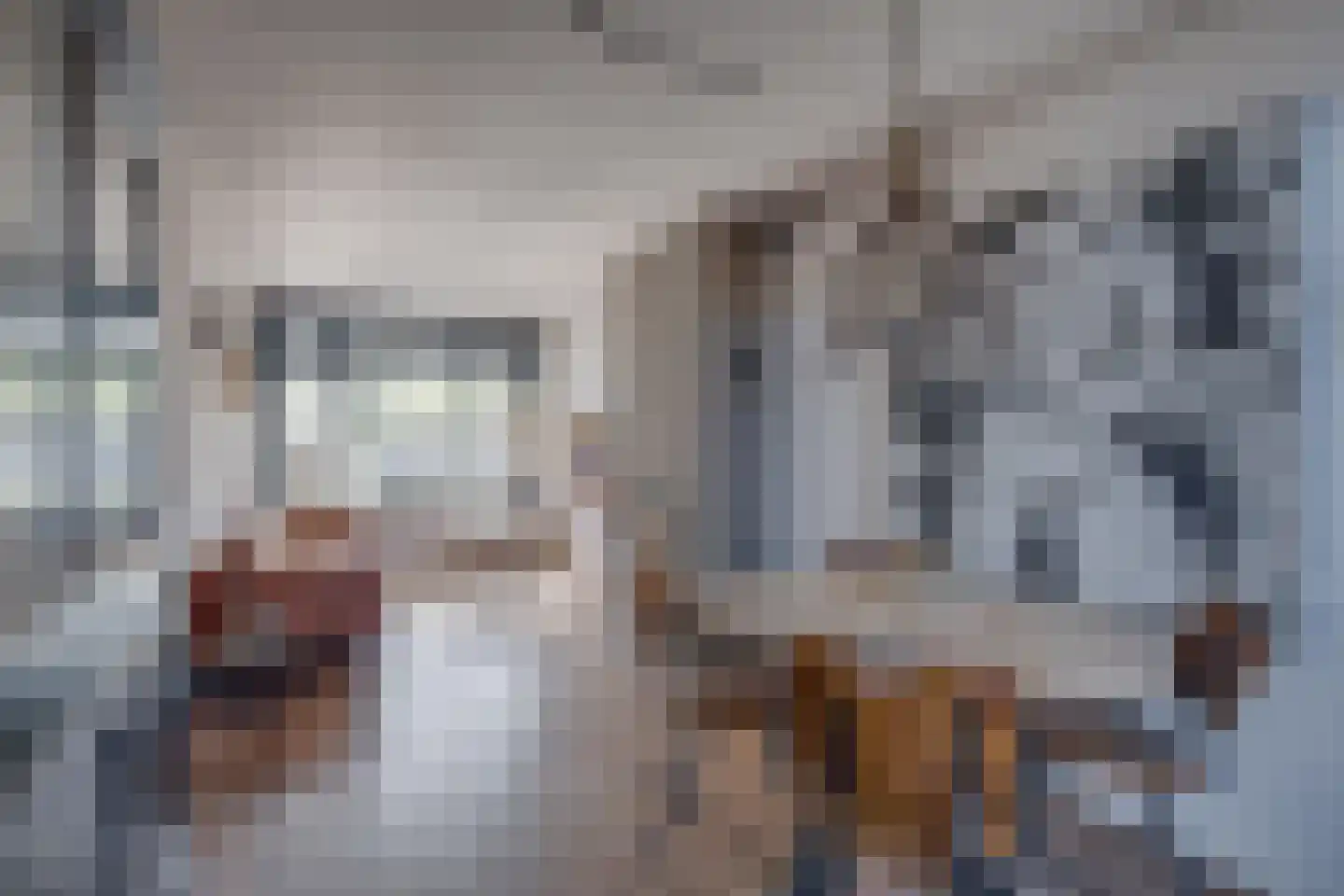 Rijsterborgherweg 24 Deventer thumbnail 17