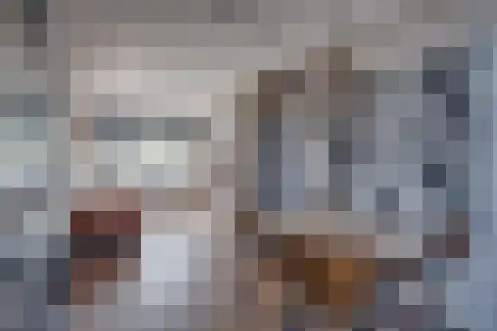 Rijsterborgherweg 24 Deventer thumbnail 17