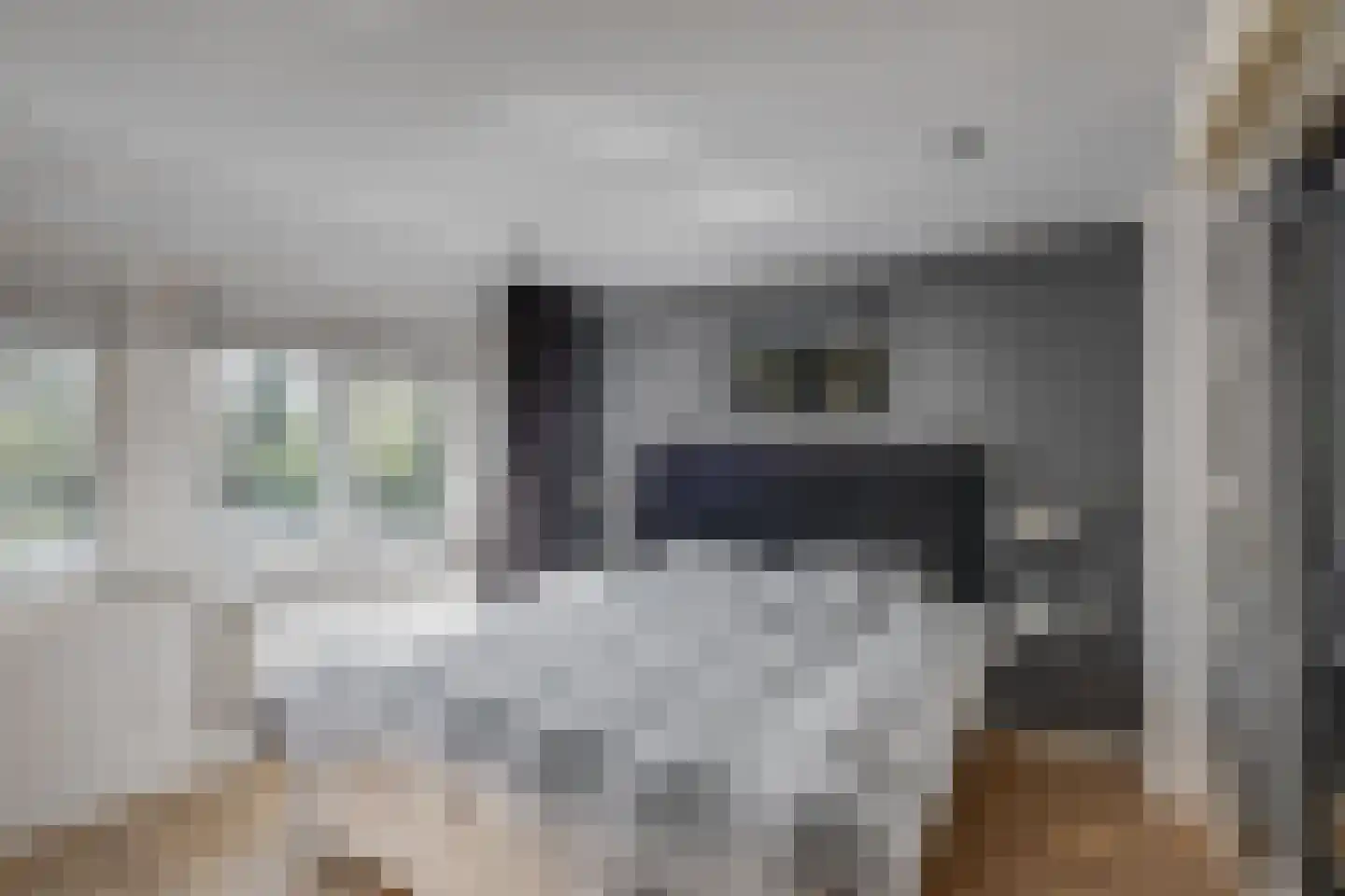 Rijsterborgherweg 24 Deventer thumbnail 26