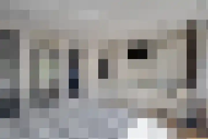 Rijsterborgherweg 24 Deventer thumbnail 27