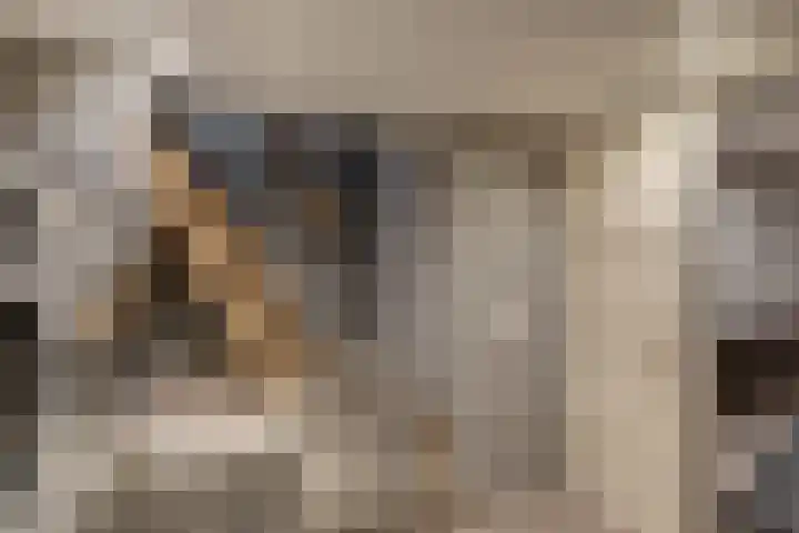 Rijsterborgherweg 24 Deventer thumbnail 37