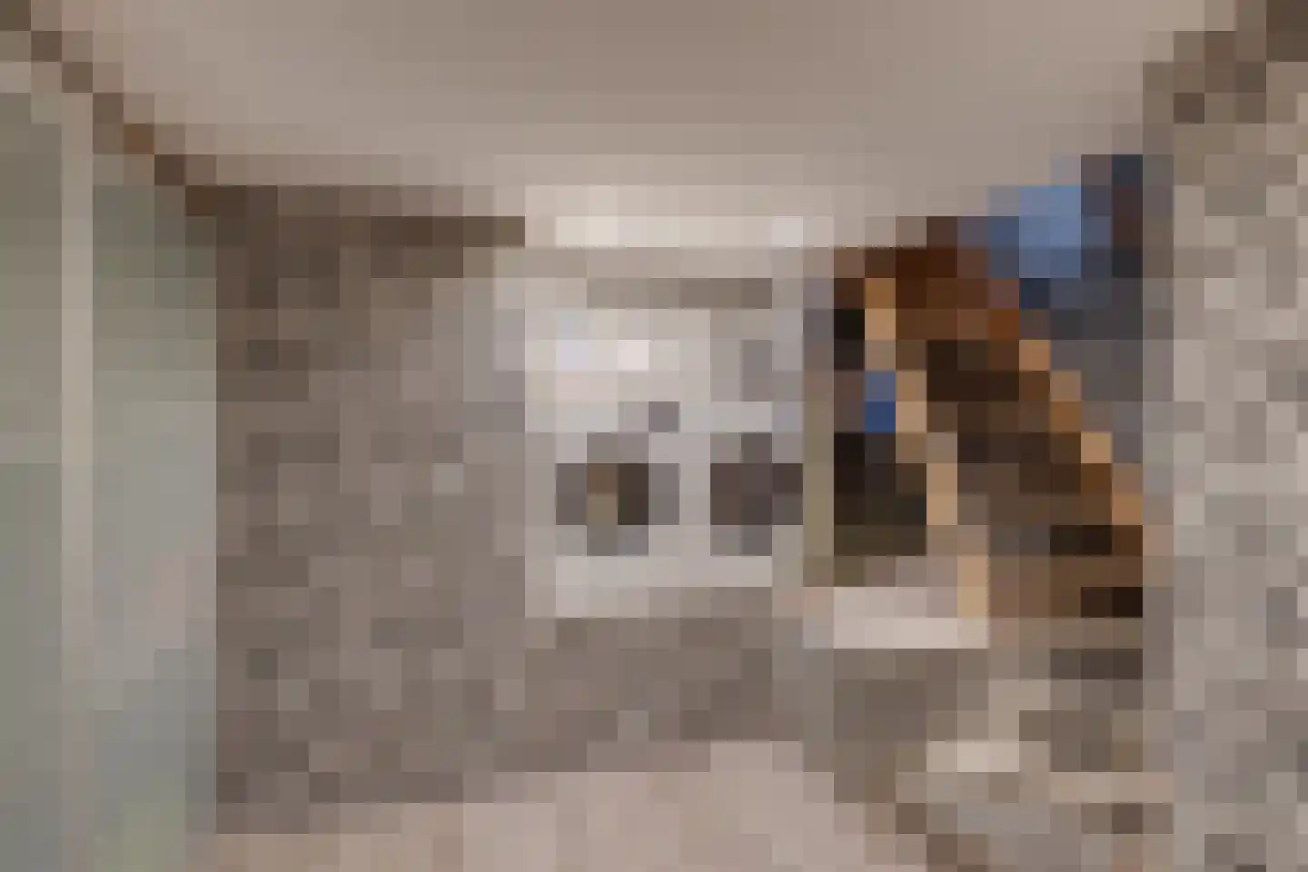 Rijsterborgherweg 24 Deventer thumbnail 38