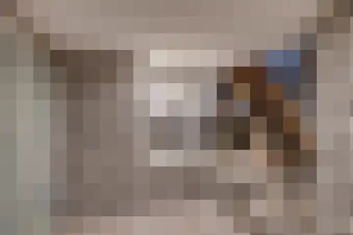 Rijsterborgherweg 24 Deventer thumbnail 38