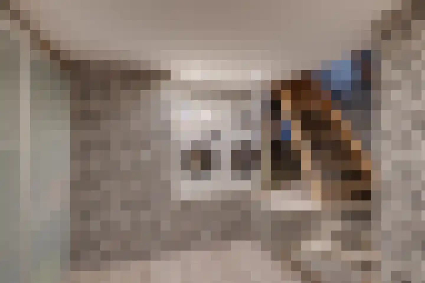 Rijsterborgherweg 24 Deventer thumbnail 38