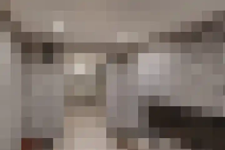 Rijsterborgherweg 24 Deventer thumbnail 41