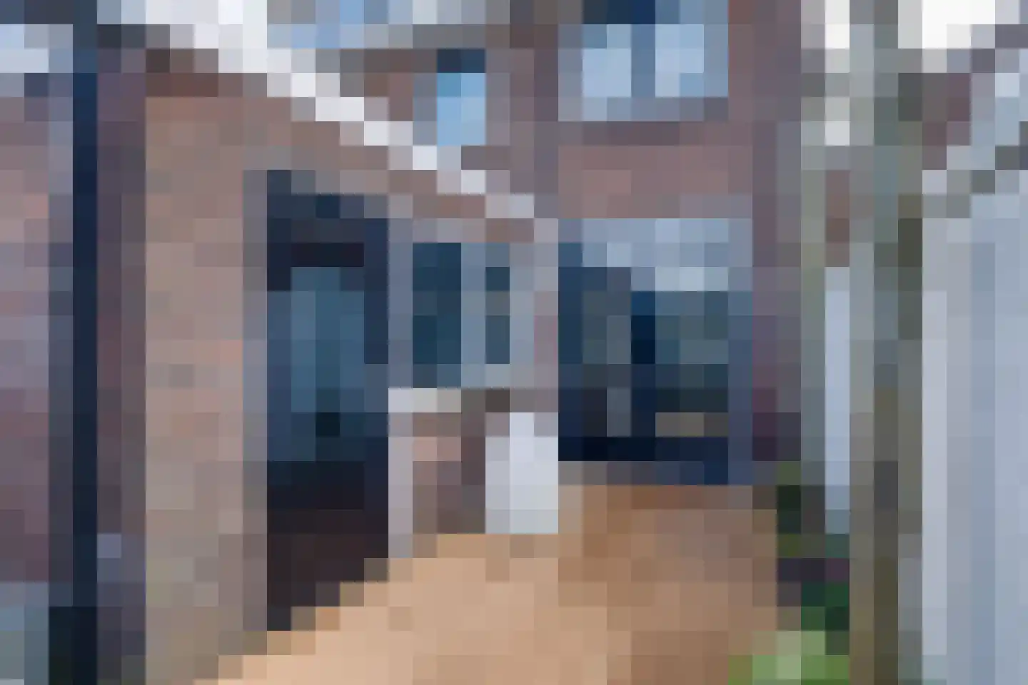 Rijsterborgherweg 24 Deventer thumbnail 44