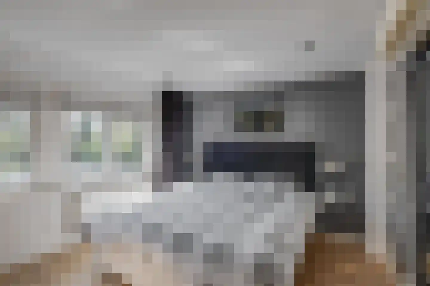 Rijsterborgherweg 24 Deventer thumbnail 5
