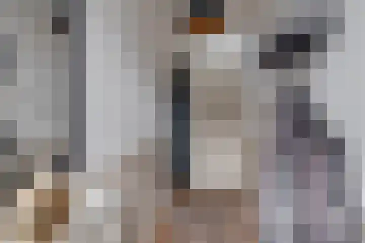 Rijsterborgherweg 24 Deventer thumbnail 9