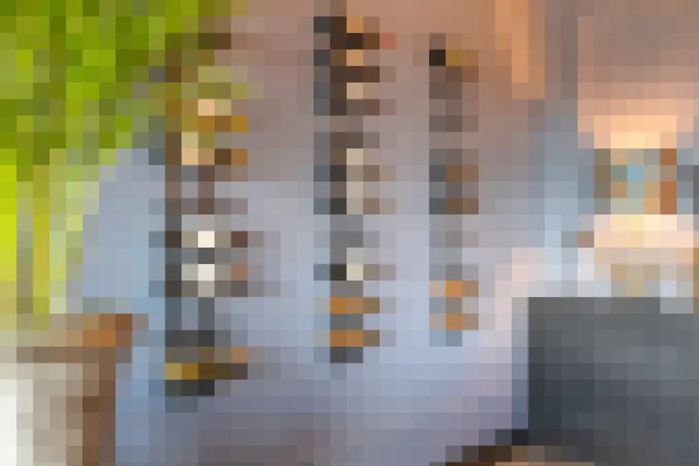 Rijsterborgherweg 4 F 16 Deventer thumbnail 15