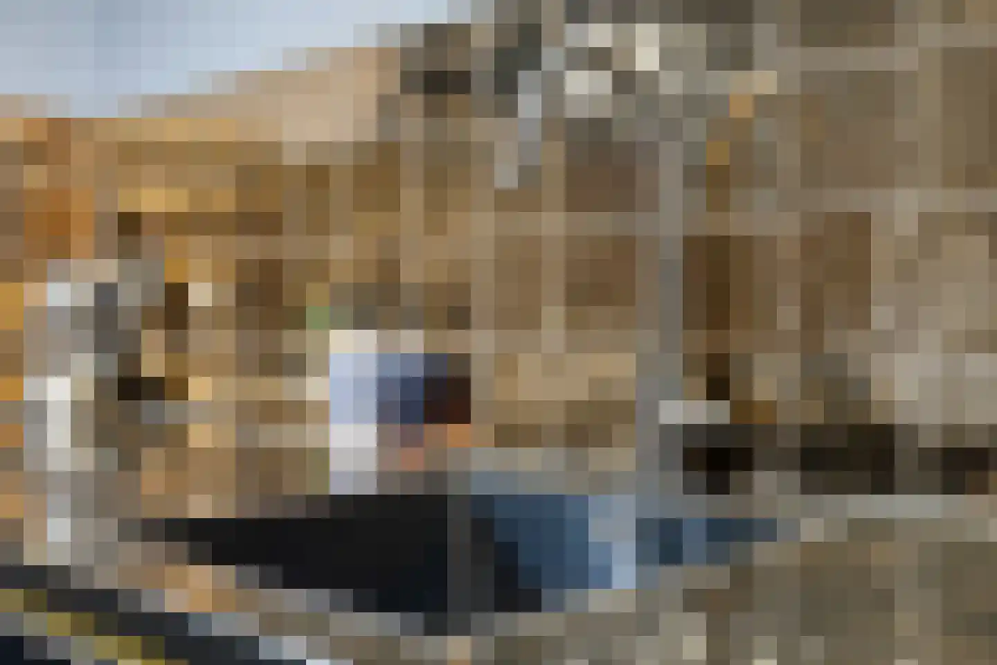 Rijsterborgherweg 4 F 16 Deventer thumbnail 17