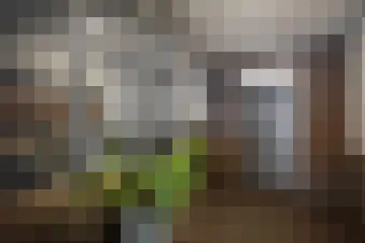 Rijsterborgherweg 4 F 43 Deventer thumbnail 5